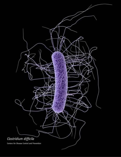 Clostridium_difficile_CDC