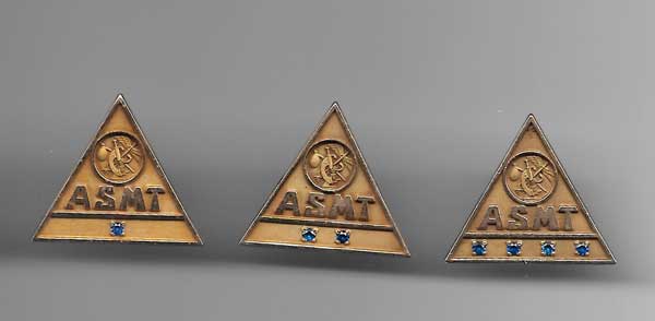 ASMT Membership Pins