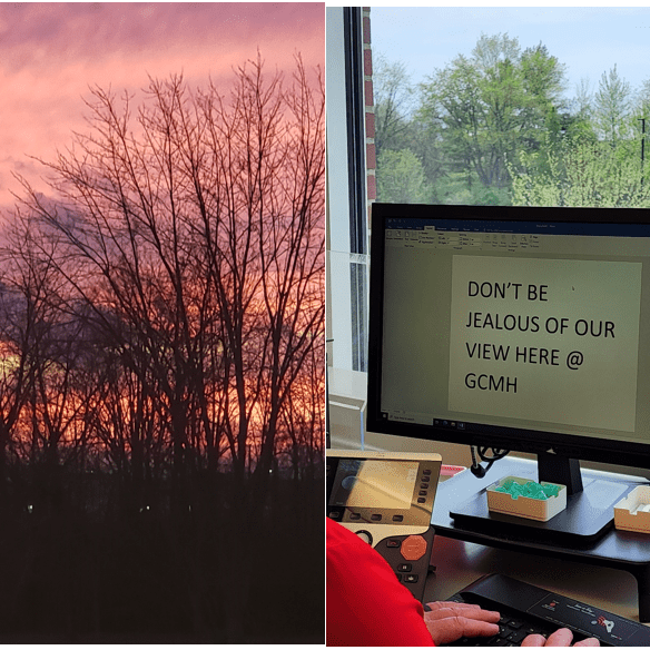 View from Lab Window - 2023 Lab Week Photo Contest Winner